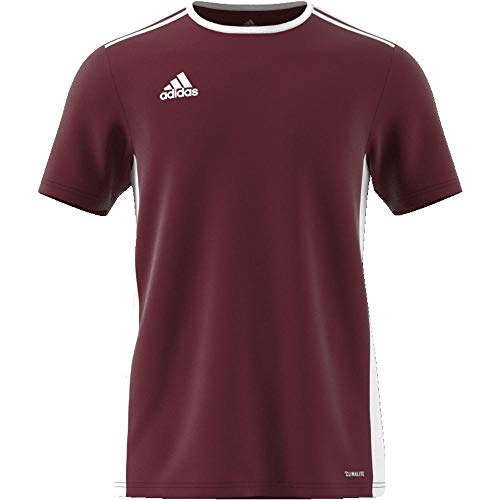 adidas Entrada 18 JSY T-Shirt, Hombre, Maroon/White, M