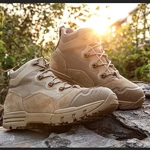 Antártida Botas tácticas militares con cordones para senderismo, combate, trabajo, desierto, jungla al aire libre, Beige (Arena), 42 EU
