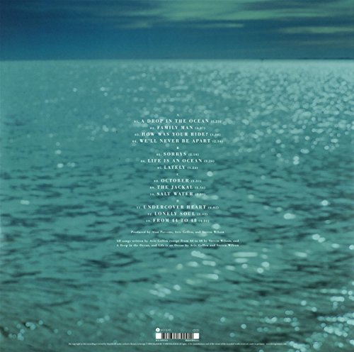 Blackfield V [Vinilo]