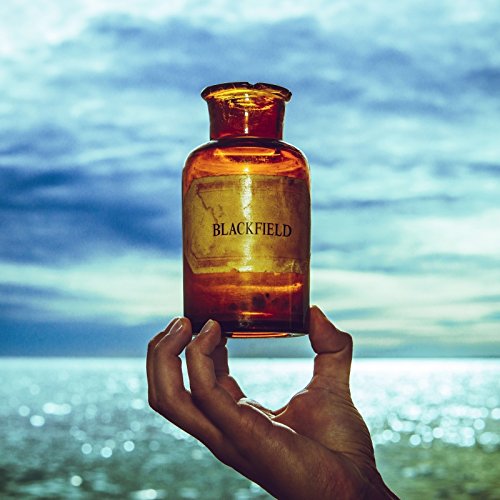 Blackfield V [Vinilo]
