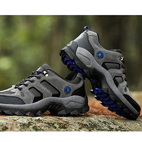 Botas De Montaña Hombre Mas Alta Trekking Zapatos Al Aire Libre Antideslizante Respirable Caminar Alpinismo Enviar Calcetines Gris 45 EU