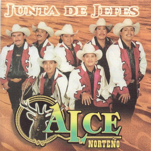 Botas Y Cintos Piteados