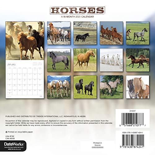 Calendario de caballos 2021 paquete – Deluxe 2021 caballos Mini calendario con más de 100 pegatinas calendario (regalos para amantes de los caballos, suministros de oficina)