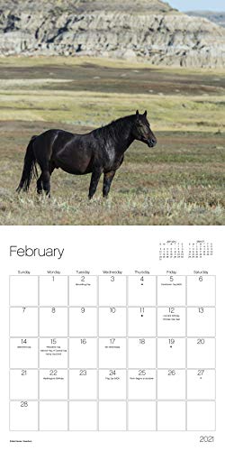 Calendario de caballos 2021 paquete – Deluxe 2021 caballos Mini calendario con más de 100 pegatinas calendario (regalos para amantes de los caballos, suministros de oficina)