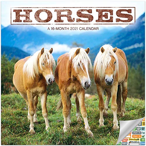 Calendario de caballos 2021 paquete – Deluxe 2021 caballos Mini calendario con más de 100 pegatinas calendario (regalos para amantes de los caballos, suministros de oficina)