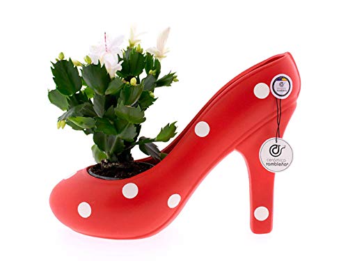 CERÁMICA RAMBLEÑA | Centro de Mesa Zapato tacón Decorado | Lunares Rojo | Centro cerámica | Centro decoración | Jarrón Decorativo | Decoración 100% Hecho a Mano | 35x11x22 cm