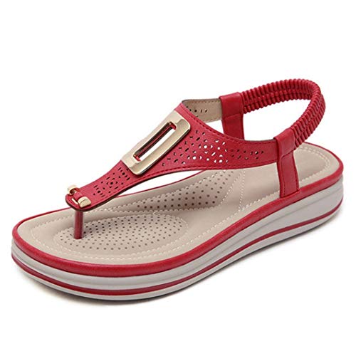 Chanclas De Plataforma De Verano para Mujer Sandalias De Playa De Color Sólido Cómodos Tacones Bajos Pisos Decoración De Metal Correa En T Zapatos De Cuña con Punta Abierta