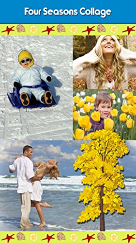 Collage de cuatro estaciones