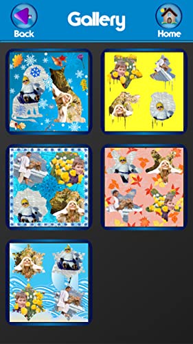 Collage de cuatro estaciones