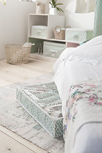 Compactor Bolsa de almacenamiento de zapatos, Gama Daman, Color verde agua, Tamaño 76 x 60 x 15 cm, Capacidad para 12 pares, Ventana transparente, RAN7447