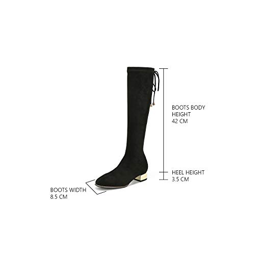 C.PARAVANO Mujer Botas hasta La Rodilla Invierno Botas con Talón Espejo(Negro,39)