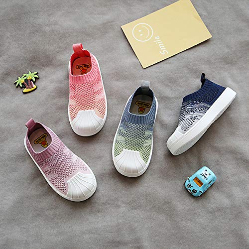 DEBAIJIA Zapatos para Niños 1-7T Bebés Caminata Zapatillas Gradiente Color Suela Suave Malla PVC Material 31/32 EU Rosa (Tamaño Etiqueta 30)