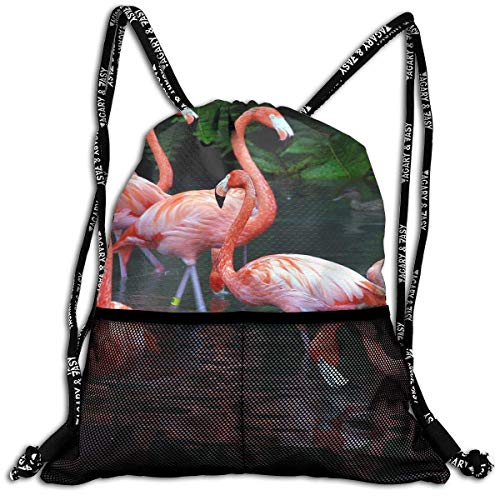 DPASIi Bolsa de cordón con diseño de flamencos, multicolor, color rojo, para amantes del arte, bolsa de gimnasio, bolsa de yoga, bolsa de zapatos de poliéster, cierre de cuerda ajustable
