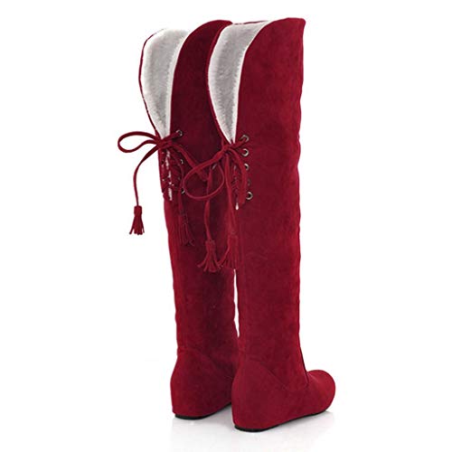 DreamedU Botas De Nieve De Invierno Para Mujer Casual Elegantes Invierno Zapatos por Encima De La Rodilla Y Los Tacones Con Pendiente Aumentan El Calor 201020