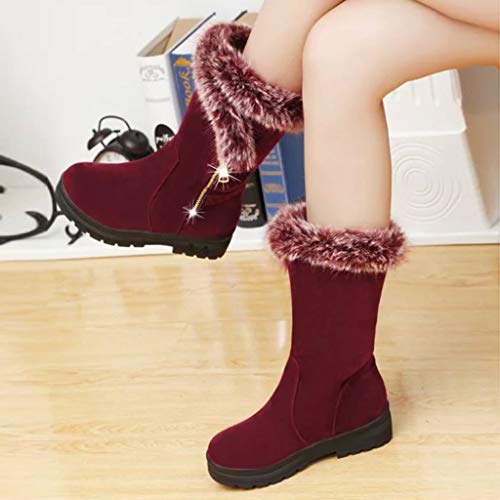 DremedU Moda Mujer Invierno Color SóLido Felpa MáS Terciopelo CáLido Botas Cortas Botas De Nieve Comodos Elegantes Otoño e Invierno 201008