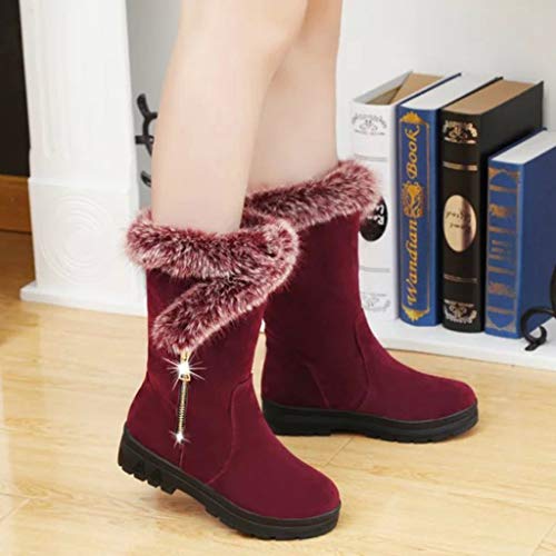 DremedU Moda Mujer Invierno Color SóLido Felpa MáS Terciopelo CáLido Botas Cortas Botas De Nieve Comodos Elegantes Otoño e Invierno 201008