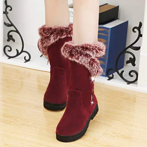 DremedU Moda Mujer Invierno Color SóLido Felpa MáS Terciopelo CáLido Botas Cortas Botas De Nieve Comodos Elegantes Otoño e Invierno 201008