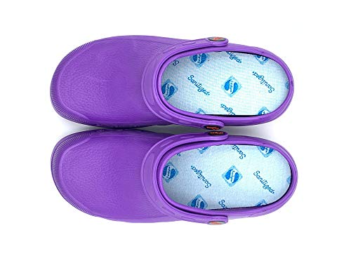EVA Color Violeta Talla 38, Zueco de Trabajo para sanidad y hostelería Unisex Certificado CE EN ISO 20347 Marca DIAN
