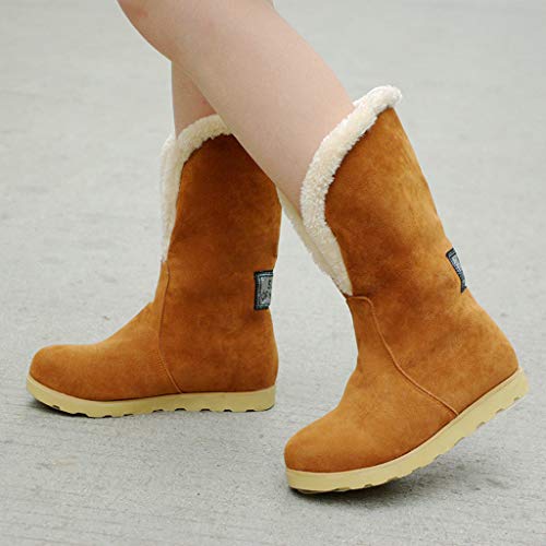 FAMILIZO Botas De Mujer Largas con Tacon Botas De Nieve para Mujer Botas hasta La Rodilla Invierno Calzado Cálido Botas Mujer Elegantes Fiesta