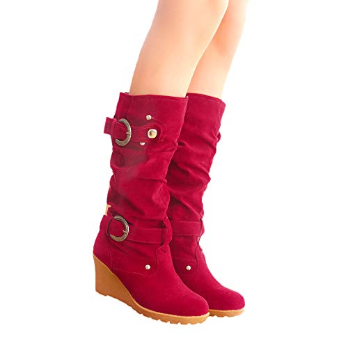 FAMILIZO Botas Mujer Otoño Botas Mujer Invierno Zapato Plano De Invierno De Las Mujeres Punta Redonda Espesar Cuñas De Las Señoras Tubo Largo Martin Boots Mujer Botas Altas