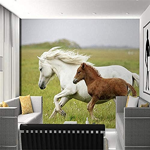 Fondo de pantalla Pastizales sobre la madre y el niño Mustang Horse TV Fondo Sala de estar Murales de dormitorio papel pintado pared dormitorio de estar sala de estar fondo No tejido-430cm×300cm