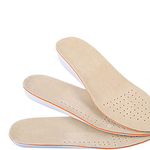 Healifty Par de Plantillas para Pie Plano Plantillas para Zapatos con Alzas Elevadora 1.5CM de PU Invisible para Mujer y Hombre Talla S