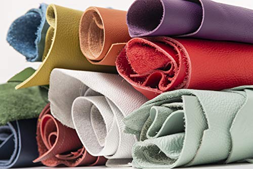 IPEA - Recortes de Piel auténtica de tamaño Aleatorio Mezclados con Formas Diferentes para la fabricación Artesanal, Colores Vivos, Piezas de Cuero