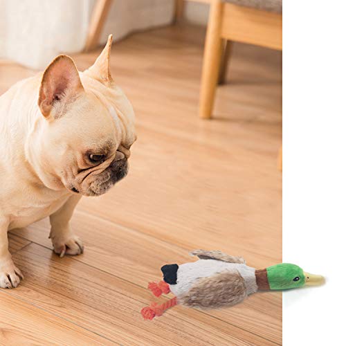 JINYJIA Juguete de Peluche para Perro con Chirriador, Duradero Forma de Pato Juguetes para Masticar con Perro, para Perros de Raza Pequeña/Mediana