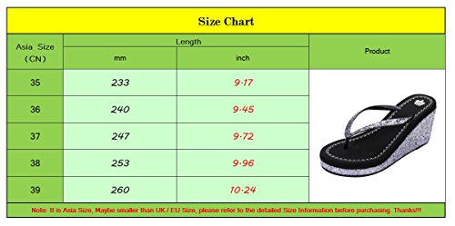 LINNUO Chanclas Cuñas Mujer con Lentejuelas Casual Sandalias de Playa Verano Flip Flops Plataformas Pantuflas Tacon (Plata,CN 35)