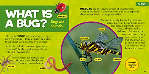 Little Kids First Big Book Of Bugs (National Geographic Kids)