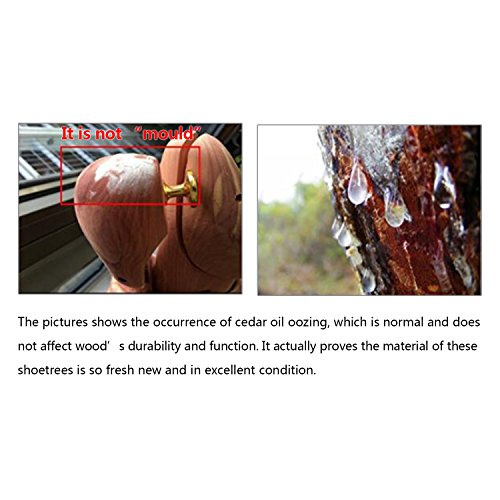 logei® 1 par hormas Zapatos de Zapatos de Cedro Camilla Siguiente Hombres Gr. 41-42