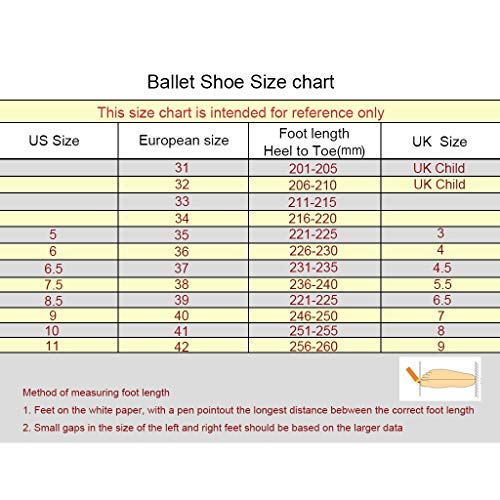 LPZ Zapatillas de Ballet Pointe Profesionales Pisos para Zapatillas de Baile con Almohadillas y Cintas en los pies Suela de Cuero Genuino para Mujeres de niña (Color : Champagne Gold, Tamaño : 38 EU)