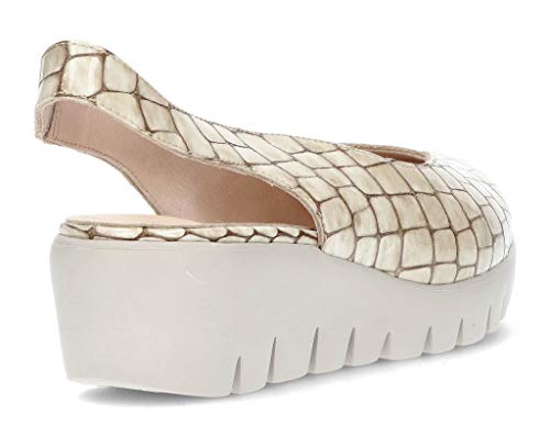 Manoletinas WONDERS HORASAN C33243 de la Talla 41 en Color Stone