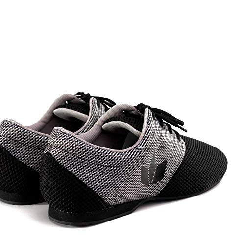 Manuel Reina - Zapatos de Baile Latino Hombre Daniel Sport B/G - Bailar Bachata y Salsa (41 EU)