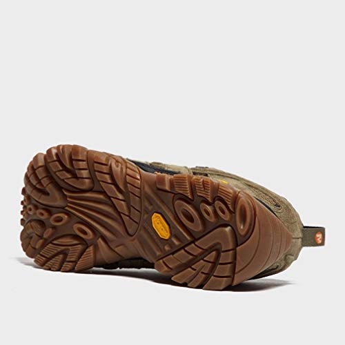 MERRELL MOAB 2 LTR GTX, Zapatillas Tiempo Libre y Senderismo Hombre, Olive (Verde), 43.5 EU