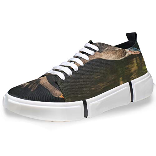 Montoj - Zapatillas de Hombre para Hombre, diseño de geos voladores, Color, Talla 40 EU