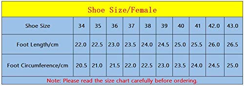 NHGFP Ceremonia De Estilo Chino Adulto Zapatos De Tela Bordados Danza De Los Zapatos De Las Mujeres De Tacón Bajo Zapatos De Suela Blanda Señoras del Estilo Chino Mary Jane Zapatos