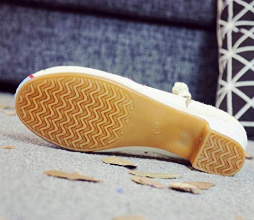 NHGFP Ceremonia De Estilo Chino Adulto Zapatos De Tela Bordados Danza De Los Zapatos De Las Mujeres De Tacón Bajo Zapatos De Suela Blanda Señoras del Estilo Chino Mary Jane Zapatos