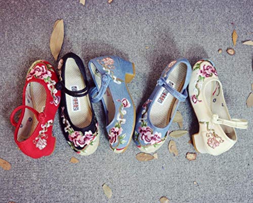 NHGFP Ceremonia De Estilo Chino Adulto Zapatos De Tela Bordados Danza De Los Zapatos De Las Mujeres De Tacón Bajo Zapatos De Suela Blanda Señoras del Estilo Chino Mary Jane Zapatos