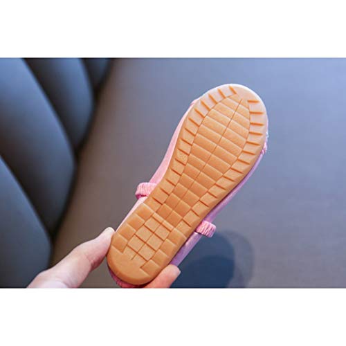 Niña Arte Zapatos Bordados, Vistoso paño Manual Mary Jane Shoes, Actuación Baile Cheongsam Hanfu Tai Chi Zapatillas (Color : Pink, Size : EUR 32)