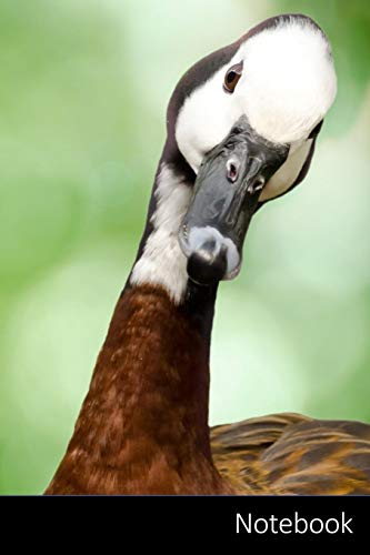 Notebook: Ganso, Pájaro, Animal, Aviar Cuaderno / Diario / Libro de escritura / Notas - 6 x 9 pulgadas (15.24 x 22.86 cm), 150 páginas, superficie brillante.