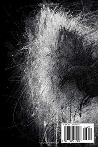 Notebook: The Raven Black Edition , Journal for Writing, College Ruled Size 6" x 9", 110 Pages