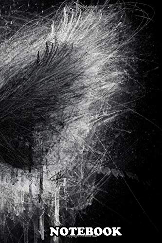 Notebook: The Raven Black Edition , Journal for Writing, College Ruled Size 6" x 9", 110 Pages