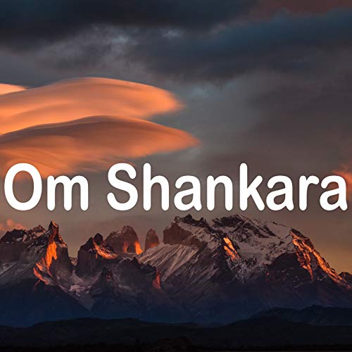 Om Shankara