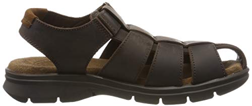 Panama Jack Sauron, Sandalias con Punta Abierta Hombre, Marrón (Marron C2), 42 EU