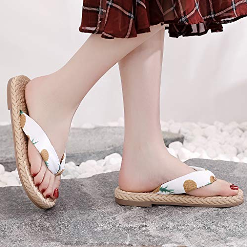 PAOLIAN Chanclas Mujer T-Strap Verano 2020 Sandalias Mujer de Dedo Playa Planas Chancletas Flip-Flops Piscina Zapatos Mujer Vestir Fiesta Casual Baratas Bohemia