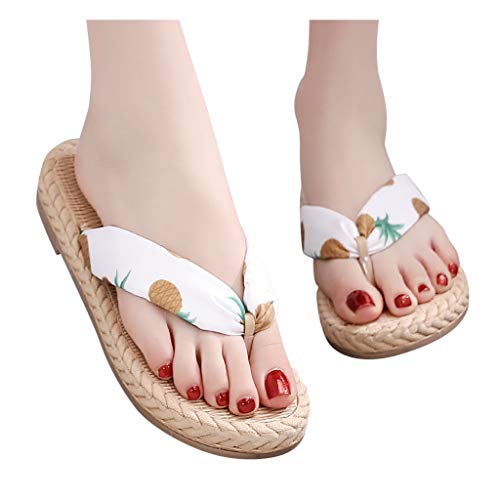 PAOLIAN Chanclas Mujer T-Strap Verano 2020 Sandalias Mujer de Dedo Playa Planas Chancletas Flip-Flops Piscina Zapatos Mujer Vestir Fiesta Casual Baratas Bohemia