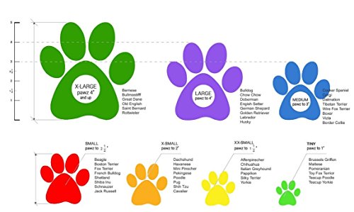 Pawz Impermeable Botas de Perro, XS