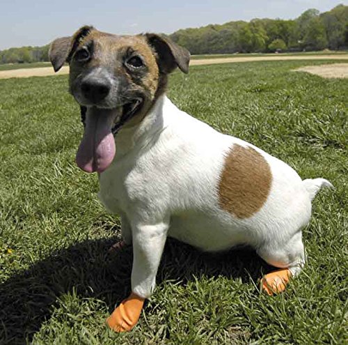 Pawz Impermeable Botas de Perro, XS