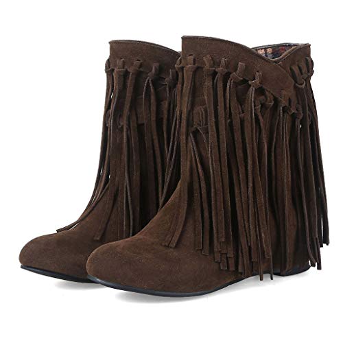Posional Botas para Mujer Bandage Flecos Botitas BotíN Moda Zapatos De TacóN Gamuza Mujer Bordadas Invierno con Flecos Largos Moda Bota Tobillo Caballero Occidental Punta Redonda Y Plana TacóN Bajo